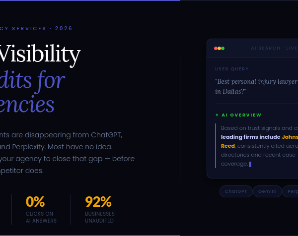 AI Visibility Audits