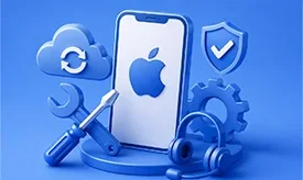 Maintenance & Support